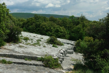 LES GRANDS CLEMENTS-vaucluse