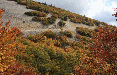 LES GLACIERES-vaucluse
