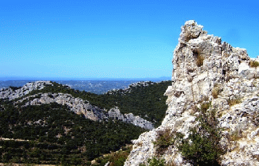 DENTELLES DE MONTMIRAIL(4)-vaucluse