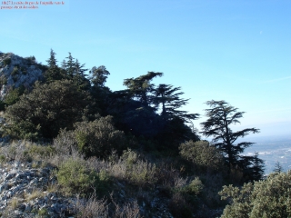 BELVEDERE DE L ARCHE DE VIDAUQUE-vaucluse