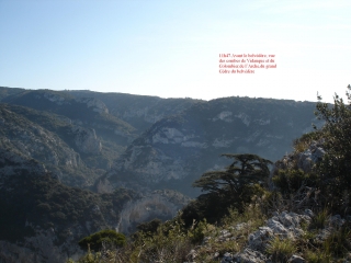 BELVEDERE DE L ARCHE DE VIDAUQUE-vaucluse