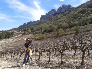 AU-DESSUS DE GIGONDAS-vaucluse