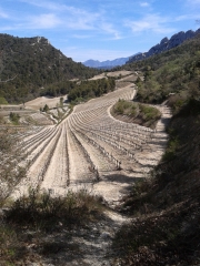 AU-DESSUS DE GIGONDAS-vaucluse
