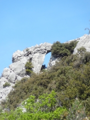 SAVOILLAN - BRANTES-vaucluse