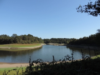 LE LAC DE LA VOURAIE-vendee