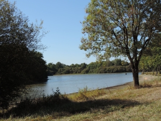 ROCHETREJOUX - LA FORET ET LA DEBUTRIE-vendee