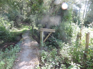 SAINT-AUBIN-DES-ORMEAUX - VALLEE DE LA SEVRE NANTAISE-vendee