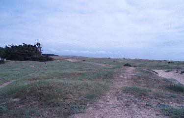 FROMENTINE - FORET ET PLAGE -vendee