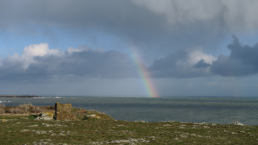 ILE D YEU - BOUCLE SUD-vendee