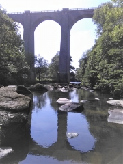 LES BORDS DE LA SEVRE NANTAISE-vendee