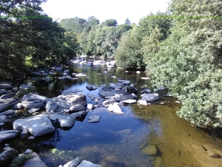 LES BORDS DE LA SEVRE NANTAISE-vendee
