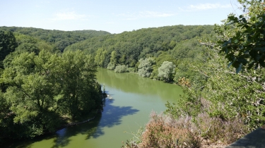 MASSIF FORESTIER DE MERVENT-VOUVANT-vendee