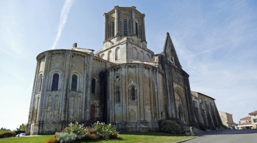 MASSIF FORESTIER DE MERVENT-VOUVANT-vendee