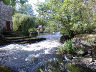 BOUCLE DE SAINT-LAURENT-SUR-SEVRE-vendee