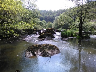 BOUCLE DE SAINT-LAURENT-SUR-SEVRE-vendee