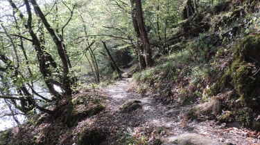 LES BORDS DE LA VENDEE A MERVENT-vendee