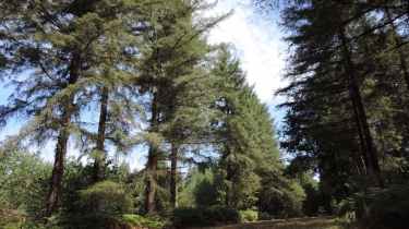 LES BORDS DE LA VENDEE A MERVENT-vendee