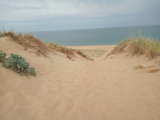 LA TRANCHE-SUR-MER - PHARE DU GROUIN DU COU-vendee