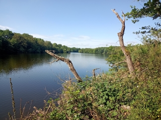 SAINT-VINCENT-SUR-GRAON  - TOUR DU LAC DU GRAON-vendee