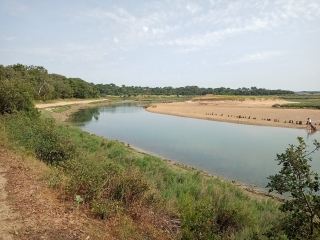 TALMONT-SAINT-HILAIRE - DUNE - FORET - MARAIS DU VEILLON ET PLAGE-vendee