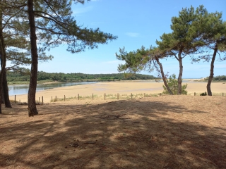 TALMONT-SAINT-HILAIRE - MARAIS DE LA GUITTIERE-vendee