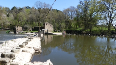 DU PONT DE MORTAGNE AU MOULIN DE GRENON ET RETOUR-vendee