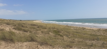 LONGEVILLE SUR MER ENTRE TERRE ET MER-vendee