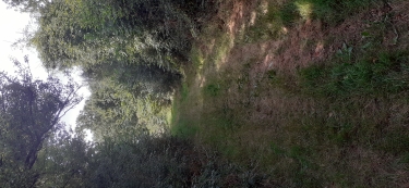 SAINT HILAIRE LA FORET LE LAVOIR DE LA GOUROLE-vendee