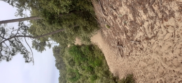 marais-poitevin - LA TRANCHE SUR MER