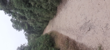 LA TRANCHE SUR MER-vendee