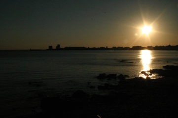 FORET D OLONNE-vendee