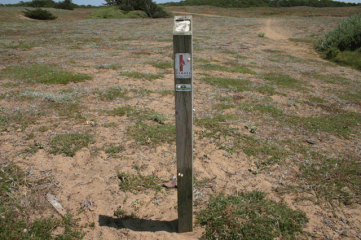 PLAGES D OLONNE-vendee