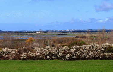 CIRCUIT DES FERMES-vendee