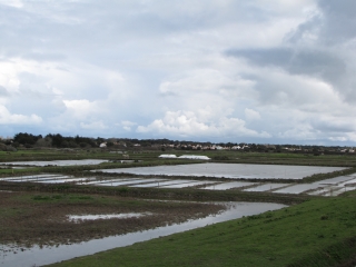 NOIRMOUTIER EN L ILE-vendee