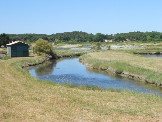 OLONNE-SUR-MER (2)-vendee