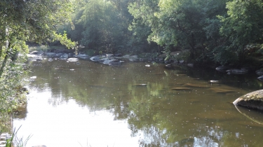 BORDS DE LA SEVRE DE MORTAGNE A TIFFAUGES ET RETOUR-vendee