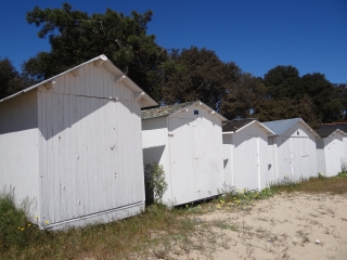 L EPINE - BOIS DE LA CHAIZE-vendee