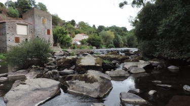 LES BORDS DE SEVRES DE TIFFAUGES VERS BOUSSAY 85-vendee