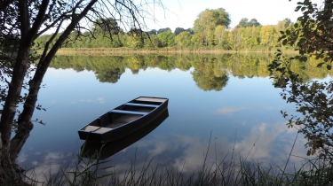 LES BORDS DE L YON ET DU LAC DE MOULIN PAPON -vendee