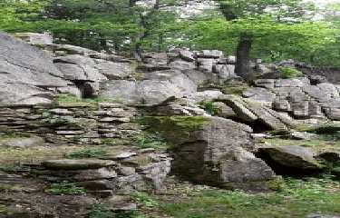 SAINT-HILAIRE-DE-MORTAGNE-vendee