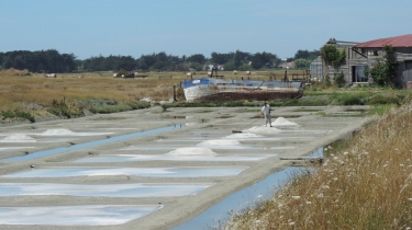 LE NORD DE L ILE DE NOIRMOUTIER-vendee