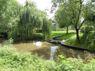 marais-poitevin - BOUCLE STE CHRISTINE - AZIRE - LES NATTES