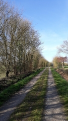 ST-HILAIRE-DE-LOULAY - SENTIER DE L ECORNERIE-vendee