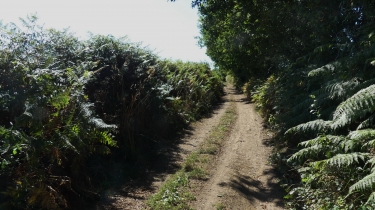 VENDEE - SAINT-PAUL-EN-PAREDS - BOUCLE DANS LE BOCAGE-vendee