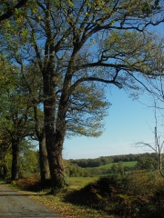 MOUTERRE SUR BLOURDE - LA PETITE SUISSE-vienne