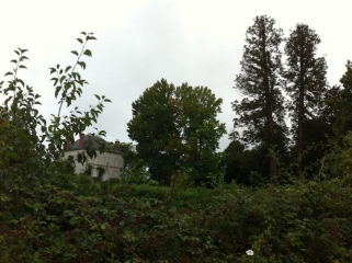 CONFINS DU LIMOUSIN-haute-vienne