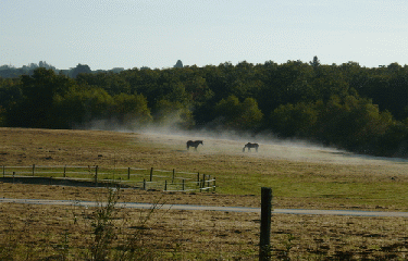 PANAZOL-haute-vienne