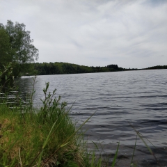 ILE DE VASSIVIERE-haute-vienne