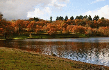 CAMPAGNE LIMOUSINE-haute-vienne