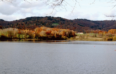 ETANG DE JONAS-haute-vienne
